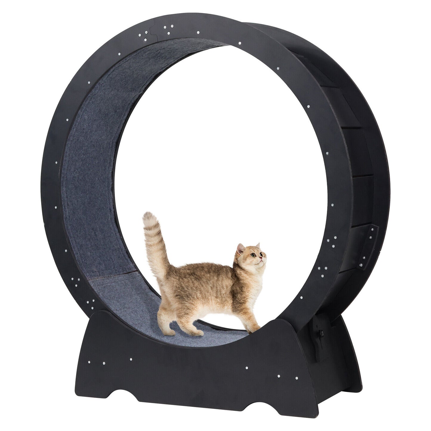 Rypetmia Cat Exercise Wheel Large Wooden/Pvc Cat Treadmill Running Wheel Cat Toy