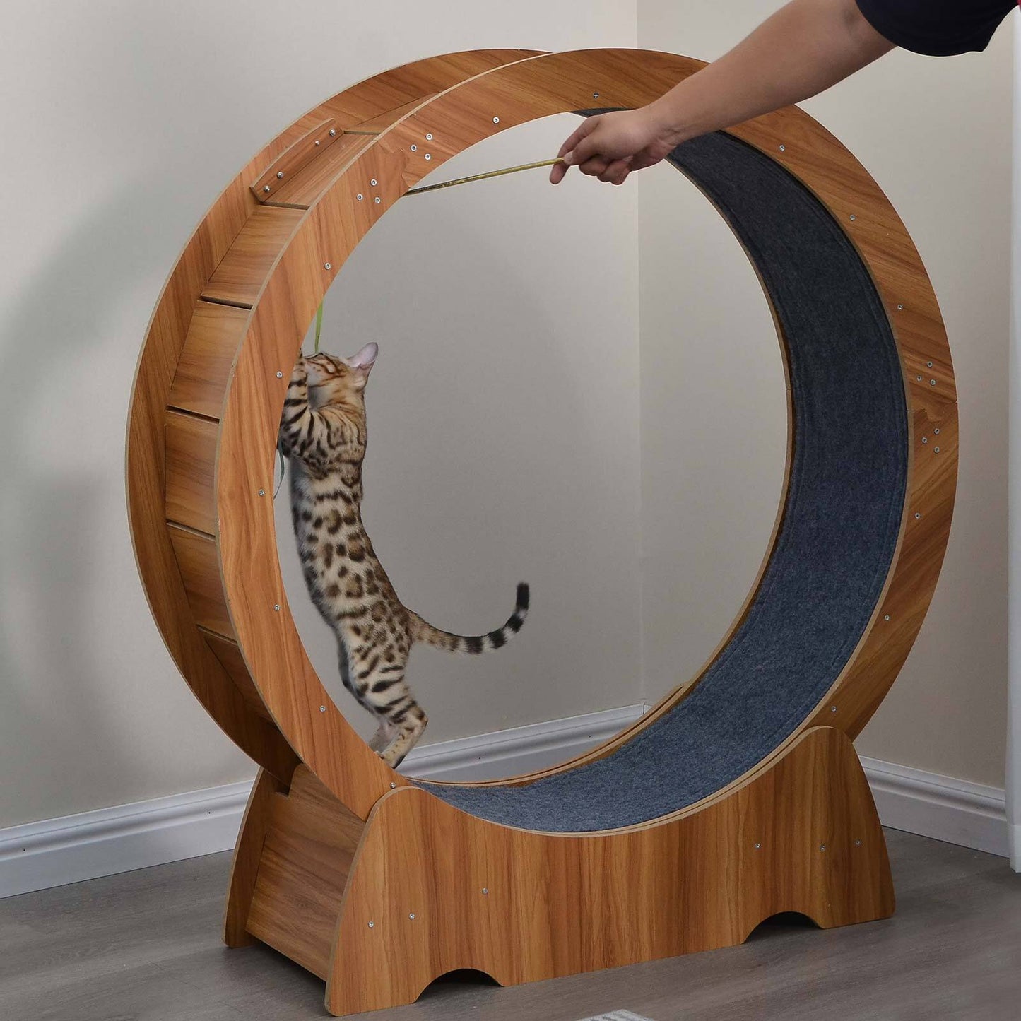 Rypetmia Cat Exercise Wheel Large Wooden/Pvc Cat Treadmill Running Wheel Cat Toy