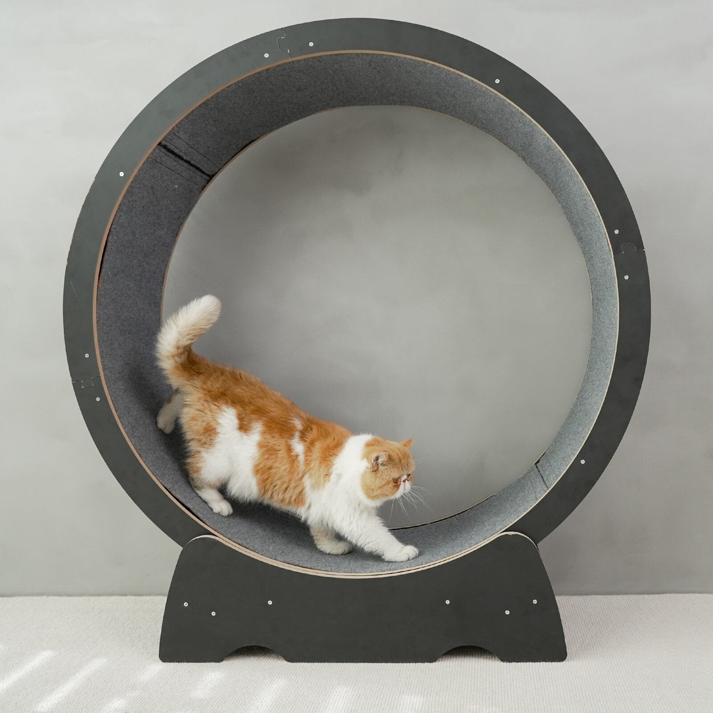 Rypetmia Cat Exercise Wheel Large Wooden/Pvc Cat Treadmill Running Wheel Cat Toy