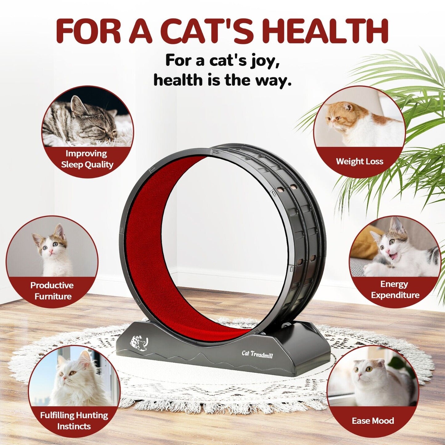 Large Cat Exercise Wheel Cat Treadmill Pet Activity Running Wheel Small Animals