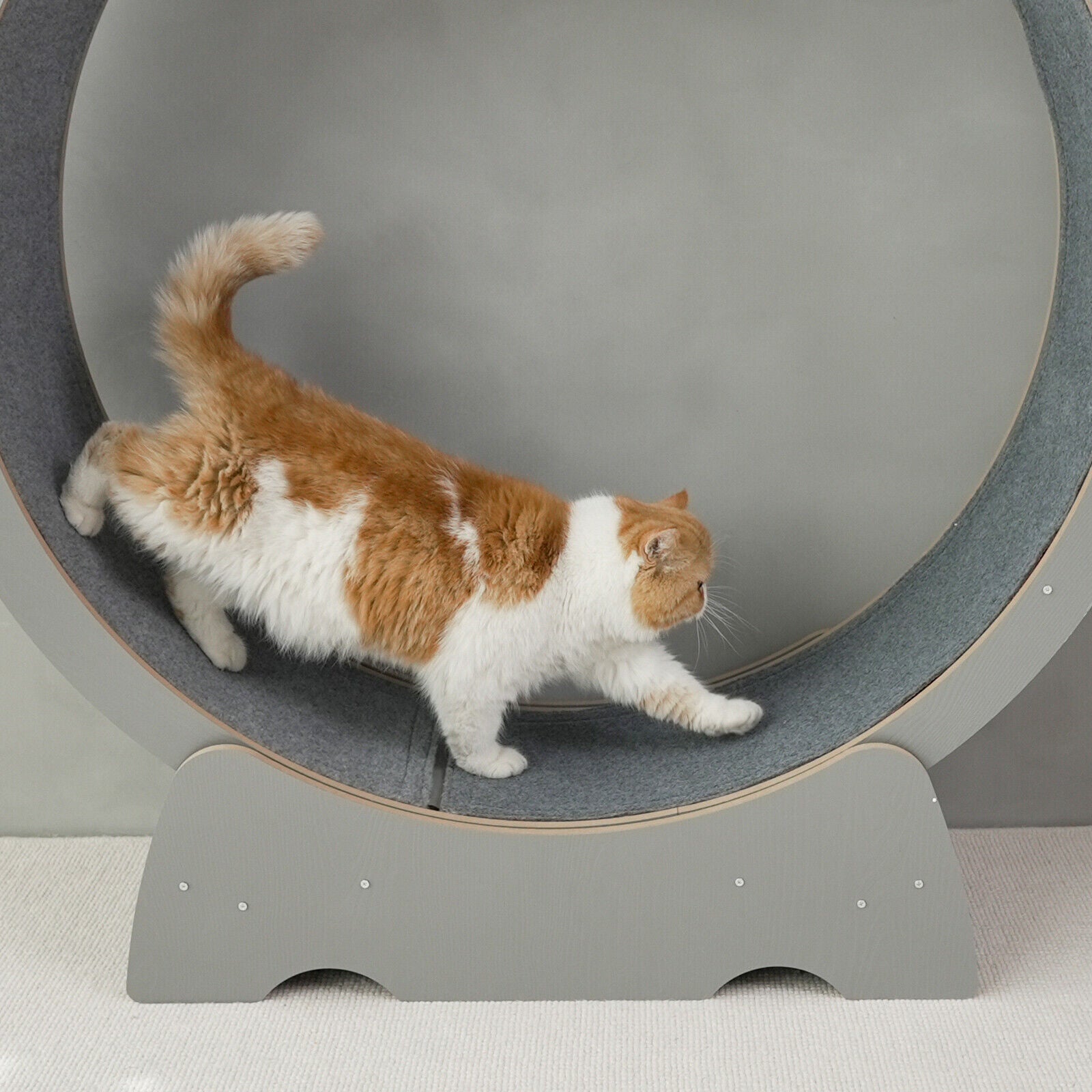Rypetmia Cat Exercise Wheel Large Wooden/Pvc Cat Treadmill Running Wheel Cat Toy