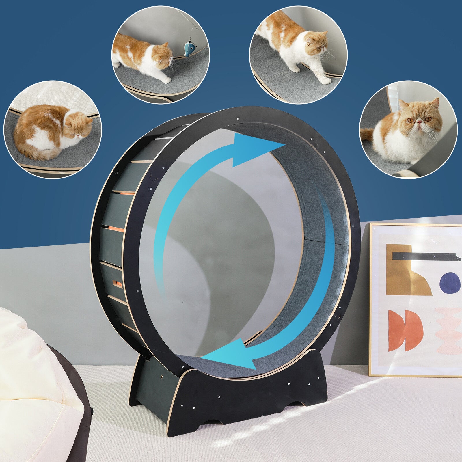 Rypetmia Cat Exercise Wheel Large Wooden/Pvc Cat Treadmill Running Wheel Cat Toy
