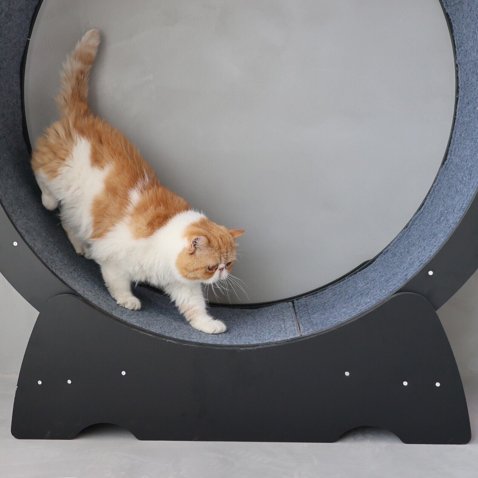 Rypetmia Cat Exercise Wheel Large Wooden/Pvc Cat Treadmill Running Wheel Cat Toy