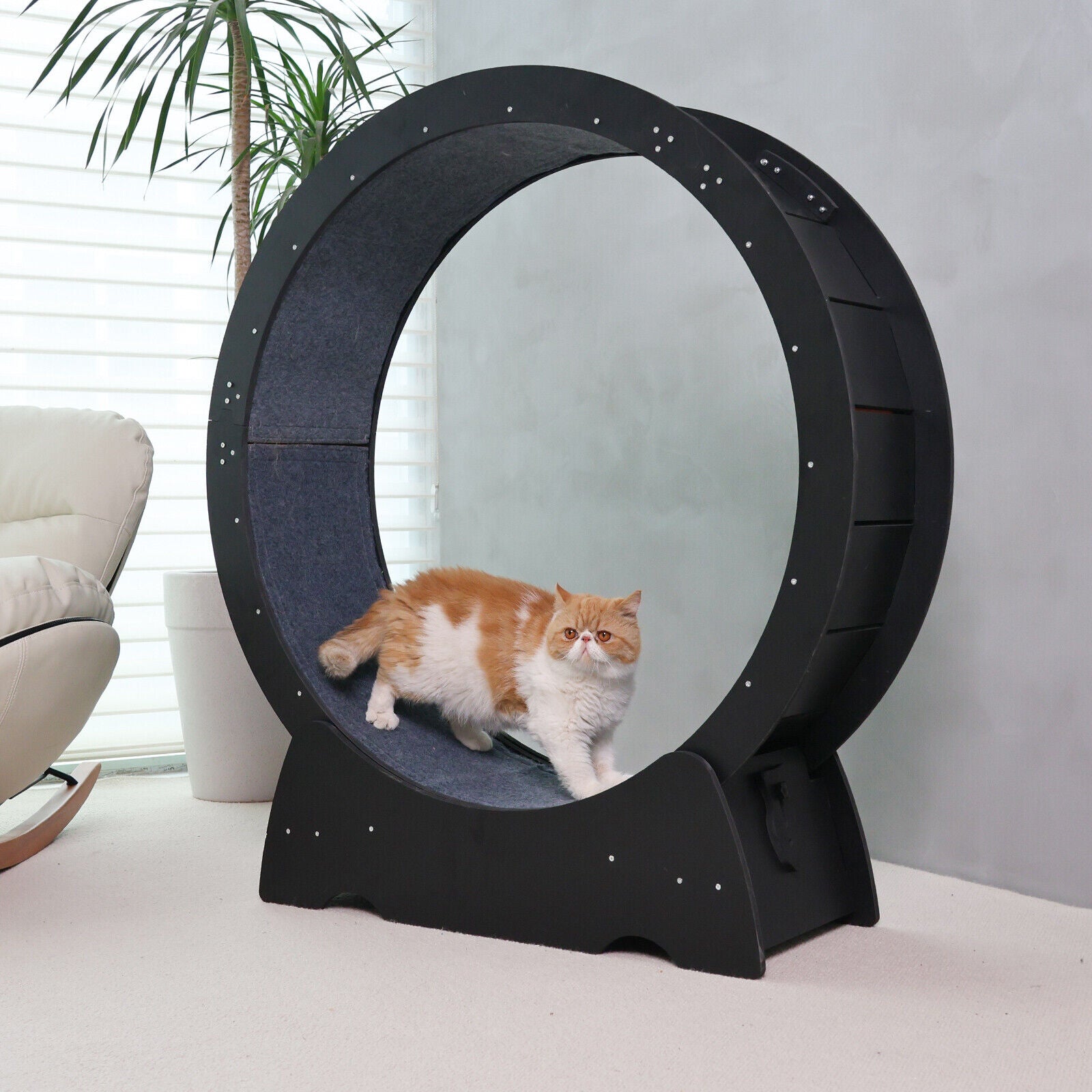 Rypetmia Cat Exercise Wheel Large Wooden/Pvc Cat Treadmill Running Wheel Cat Toy