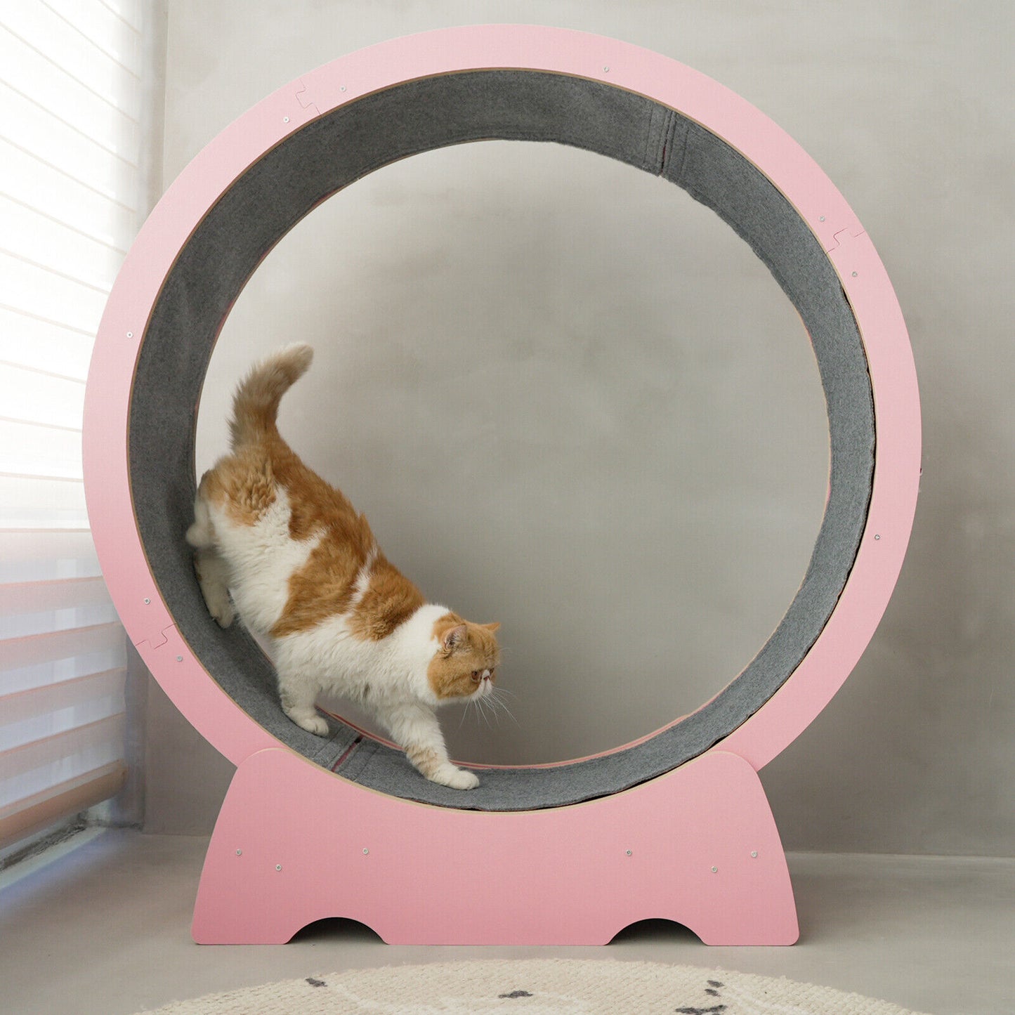 Rypetmia Cat Exercise Wheel Large Wooden/Pvc Cat Treadmill Running Wheel Cat Toy