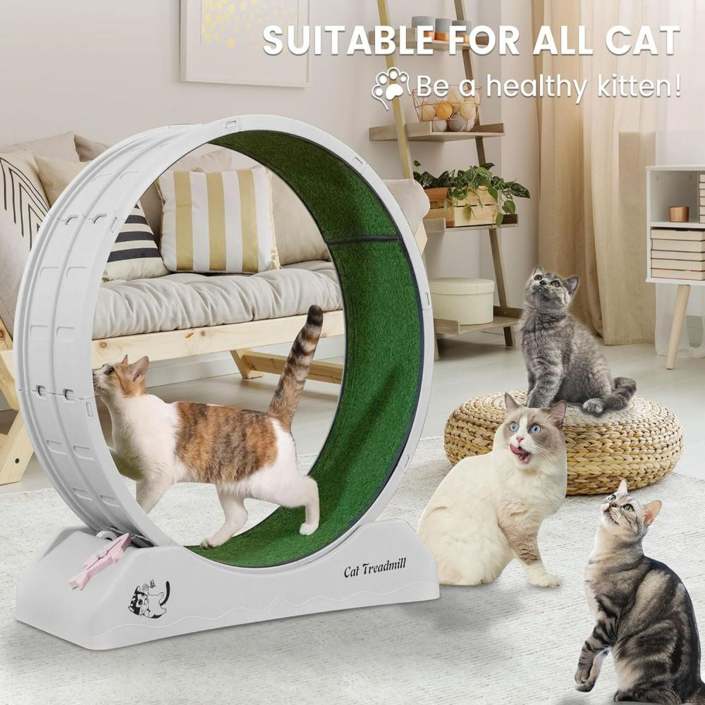 Cat Treadmill Runner Training Wheel Pet Exercise Toy Indoor Teaser