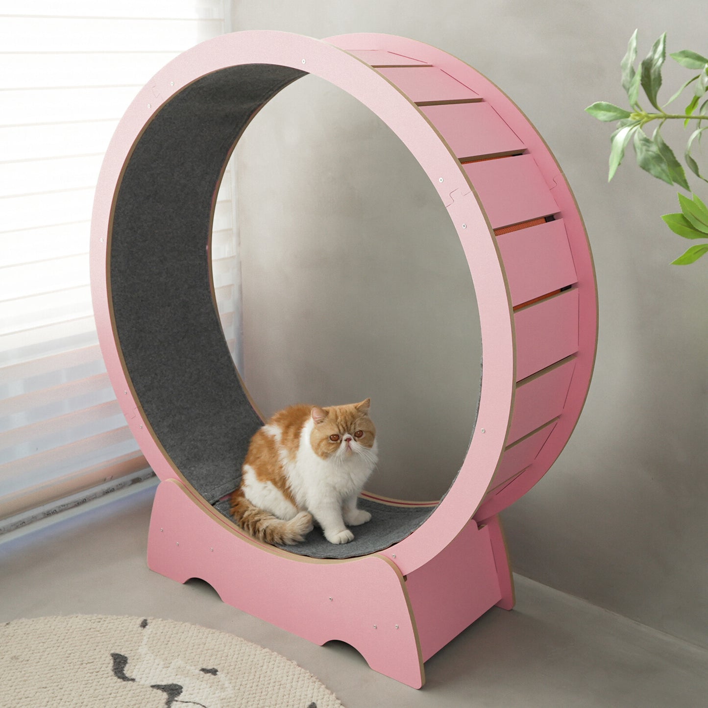 Rypetmia Cat Exercise Wheel Large Wooden/Pvc Cat Treadmill Running Wheel Cat Toy