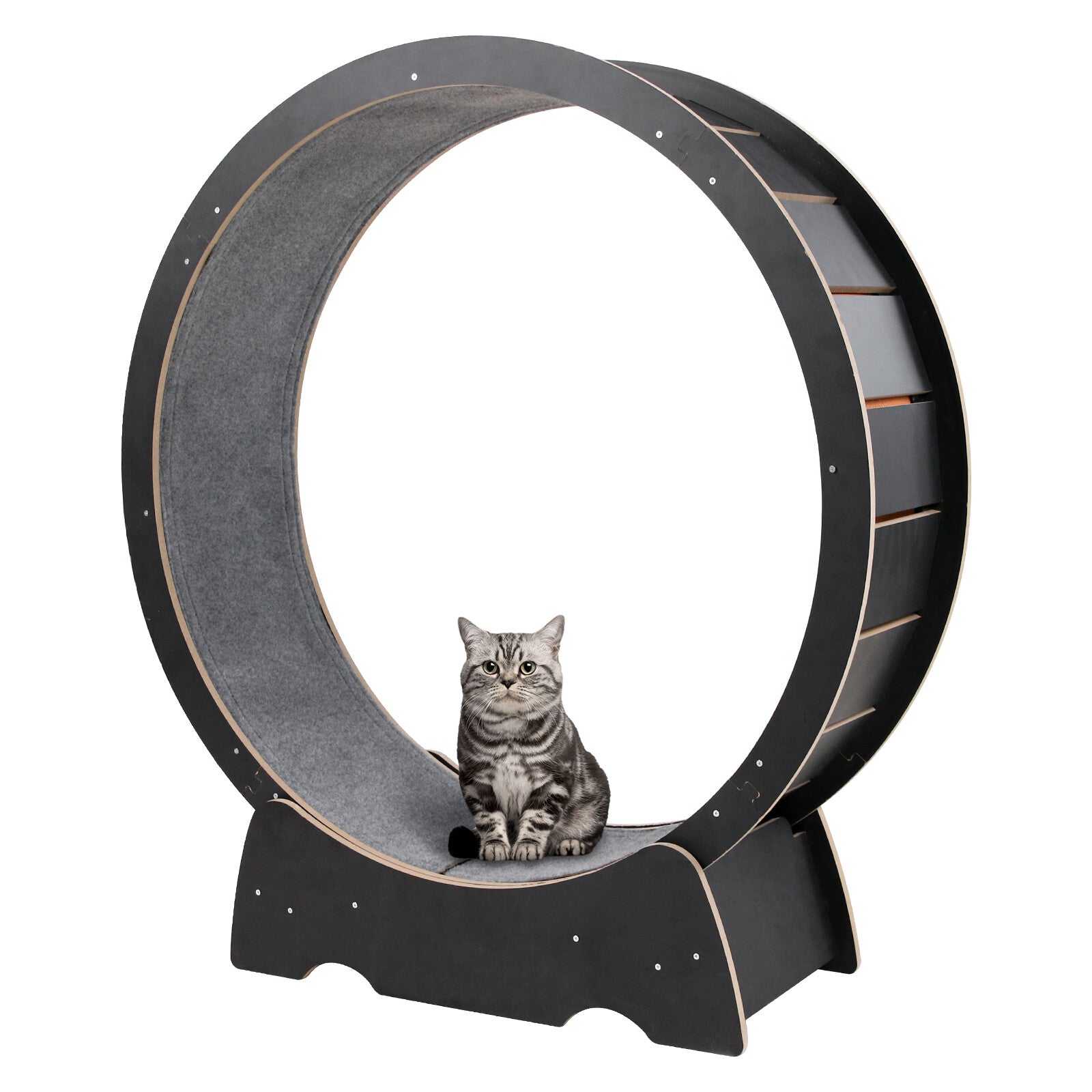 Rypetmia Cat Exercise Wheel Large Wooden/Pvc Cat Treadmill Running Wheel Cat Toy