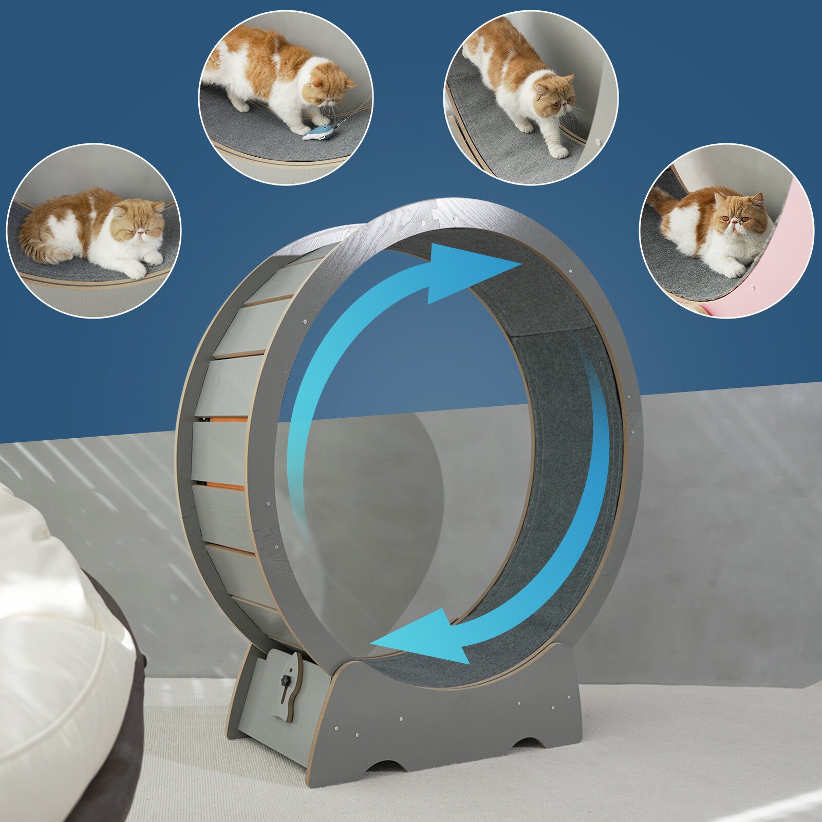Rypetmia Cat Exercise Wheel Large Wooden/Pvc Cat Treadmill Running Wheel Cat Toy