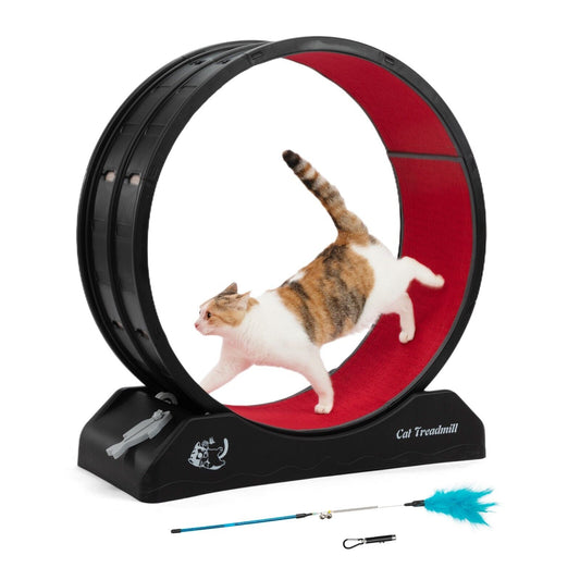 Large Cat Exercise Wheel Cat Treadmill Pet Activity Running Wheel Small Animals