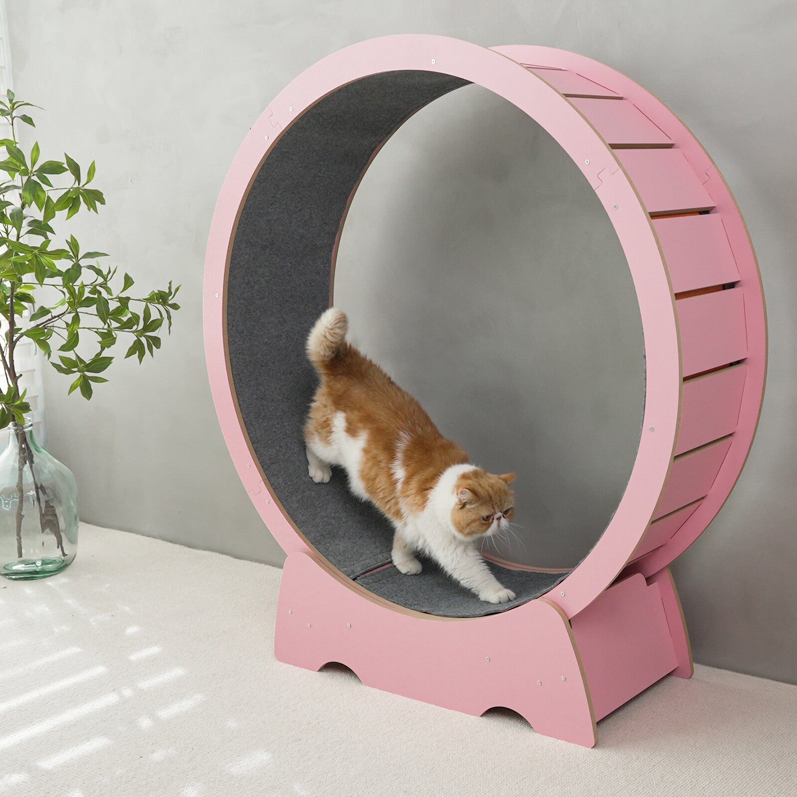 Rypetmia Cat Exercise Wheel Large Wooden/Pvc Cat Treadmill Running Wheel Cat Toy