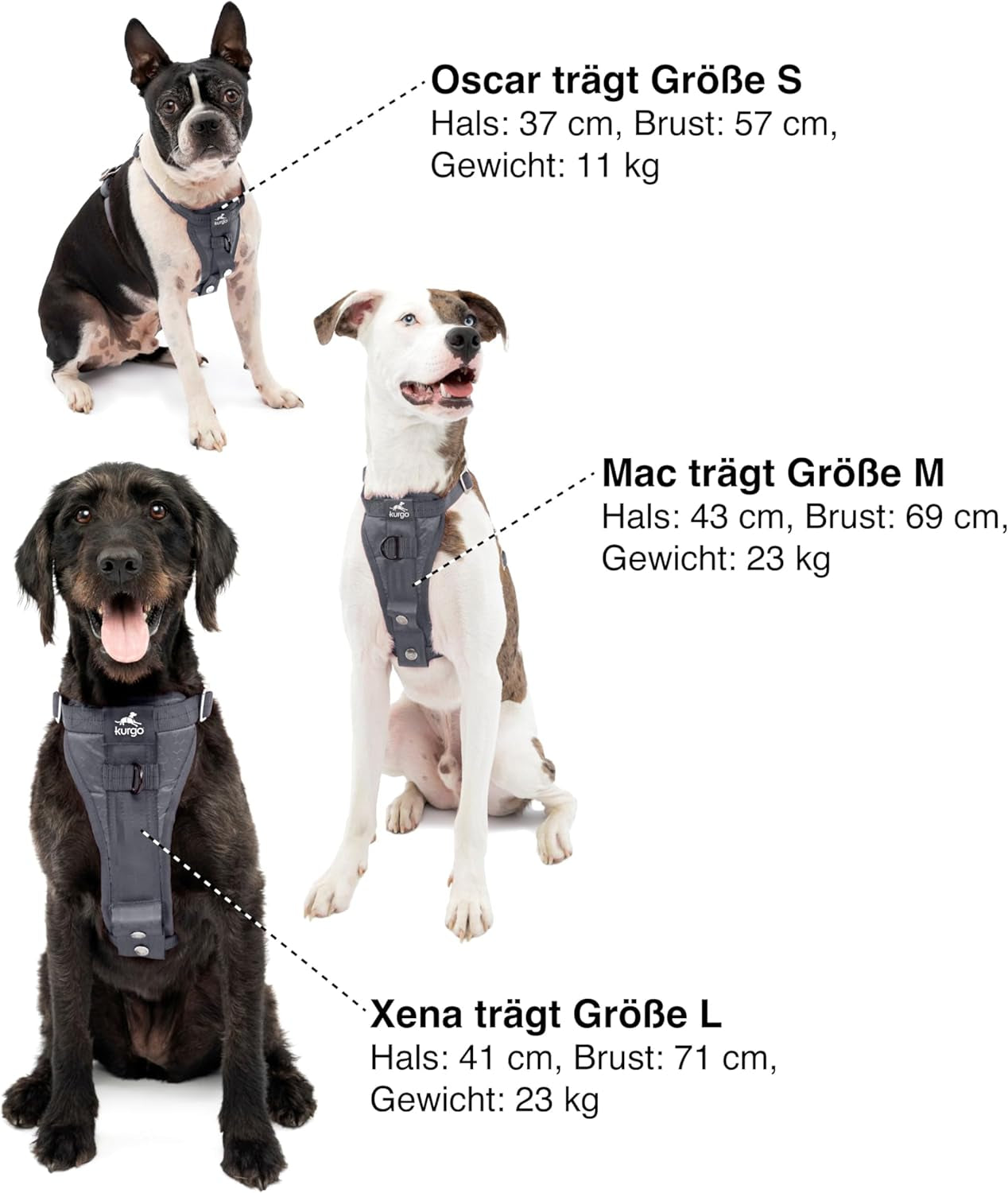 Smart Feed Automatic Dog and Cat Feeder - 2Nd Generation - 24-Cups - Wi-Fi Enabled App for Iphone and Android Smartphones - Compatible with Alexa, Black (PFD19-16861)