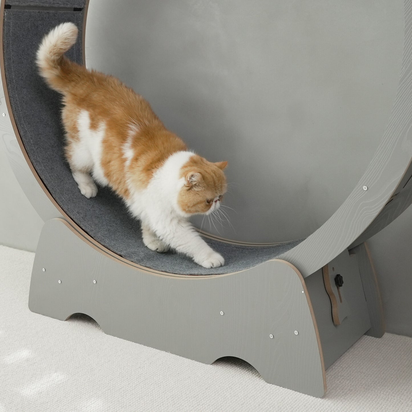 Rypetmia Cat Exercise Wheel Large Wooden/Pvc Cat Treadmill Running Wheel Cat Toy