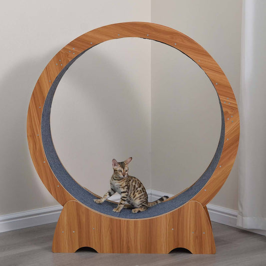 Rypetmia Cat Exercise Wheel Large Wooden/Pvc Cat Treadmill Running Wheel Cat Toy