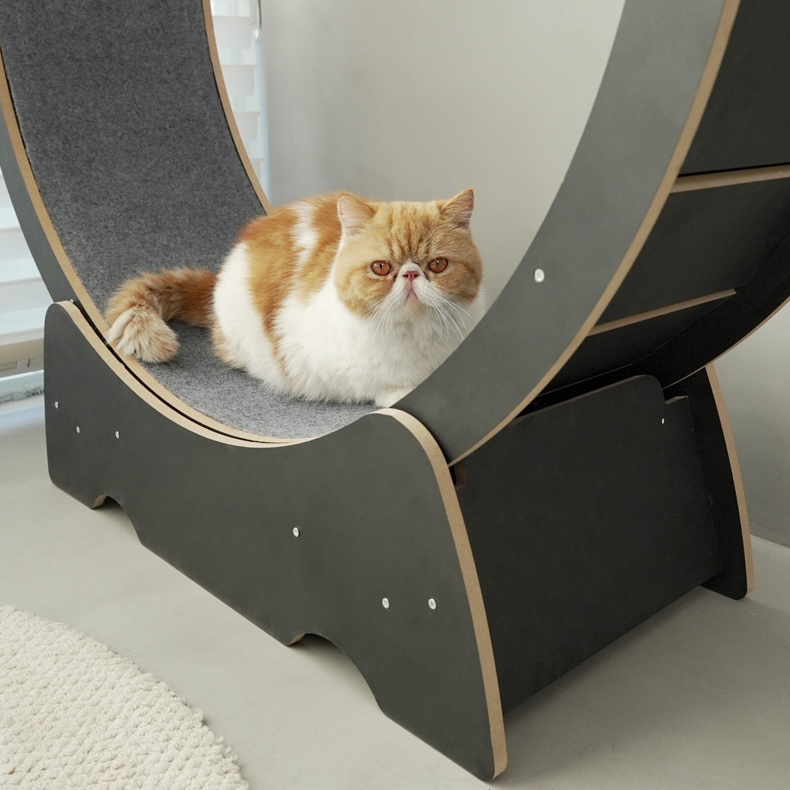 Rypetmia Cat Exercise Wheel Large Wooden/Pvc Cat Treadmill Running Wheel Cat Toy