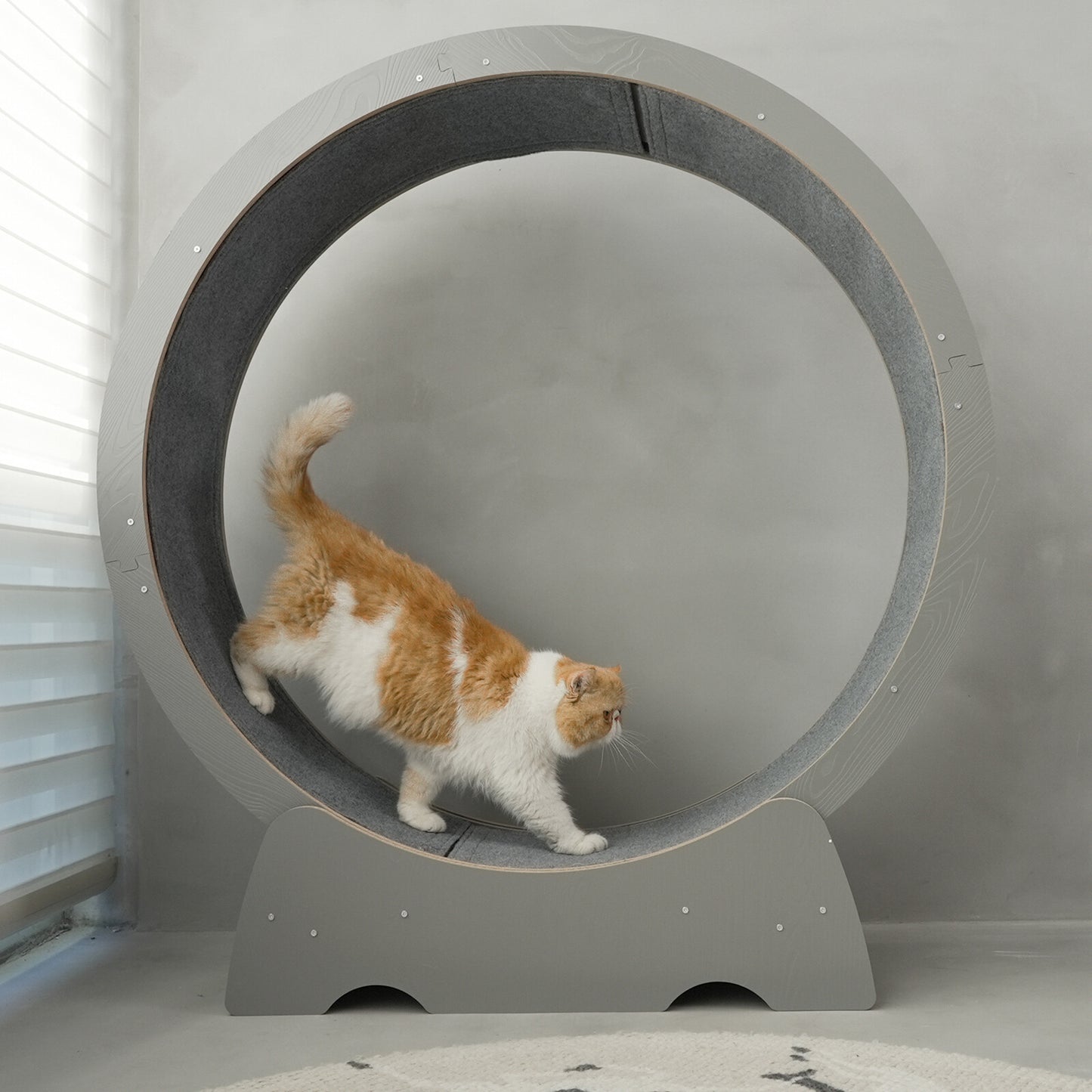 Rypetmia Cat Exercise Wheel Large Wooden/Pvc Cat Treadmill Running Wheel Cat Toy