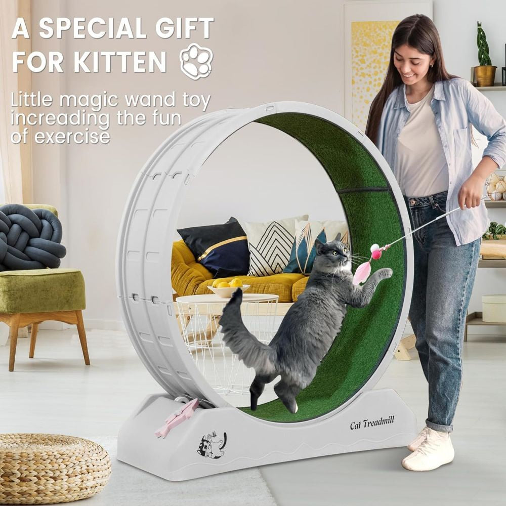 Cat Treadmill Runner Training Wheel Pet Exercise Toy Indoor Teaser