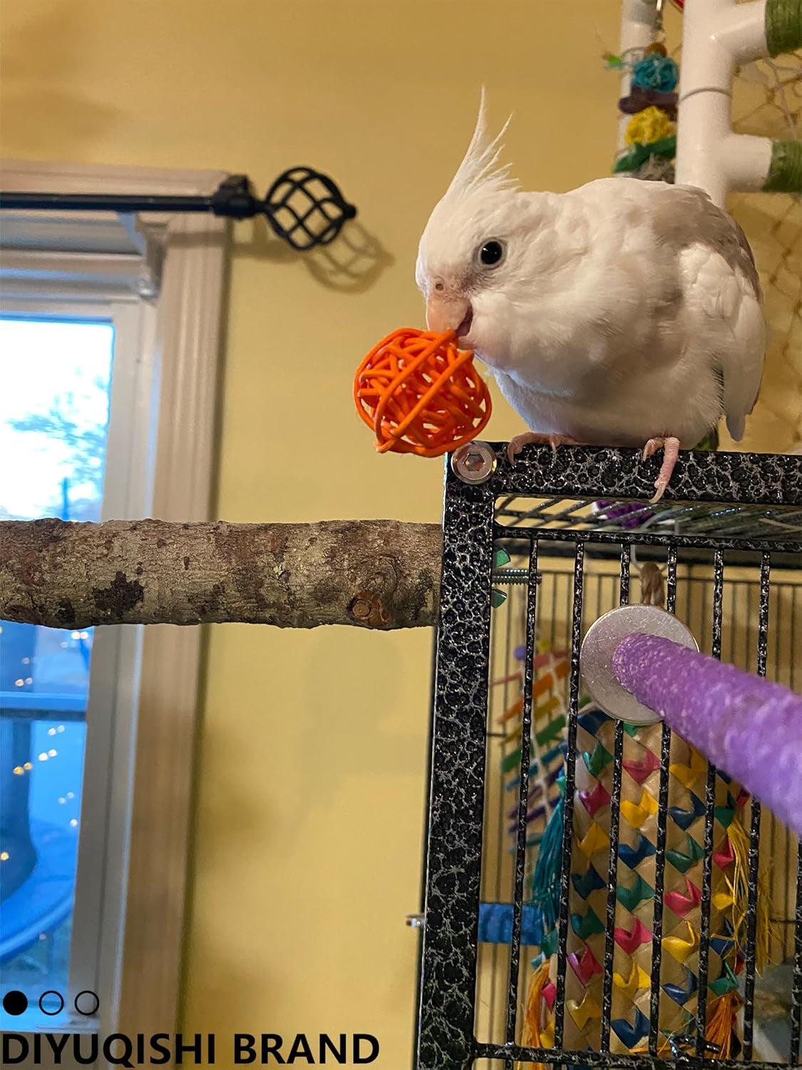 10 Pcs Bird Toy Set with Natural Rattan Balls Plastic Bell Balls for Parrots Safe Materials Encourages Play Perfect for Cage Home Decoration