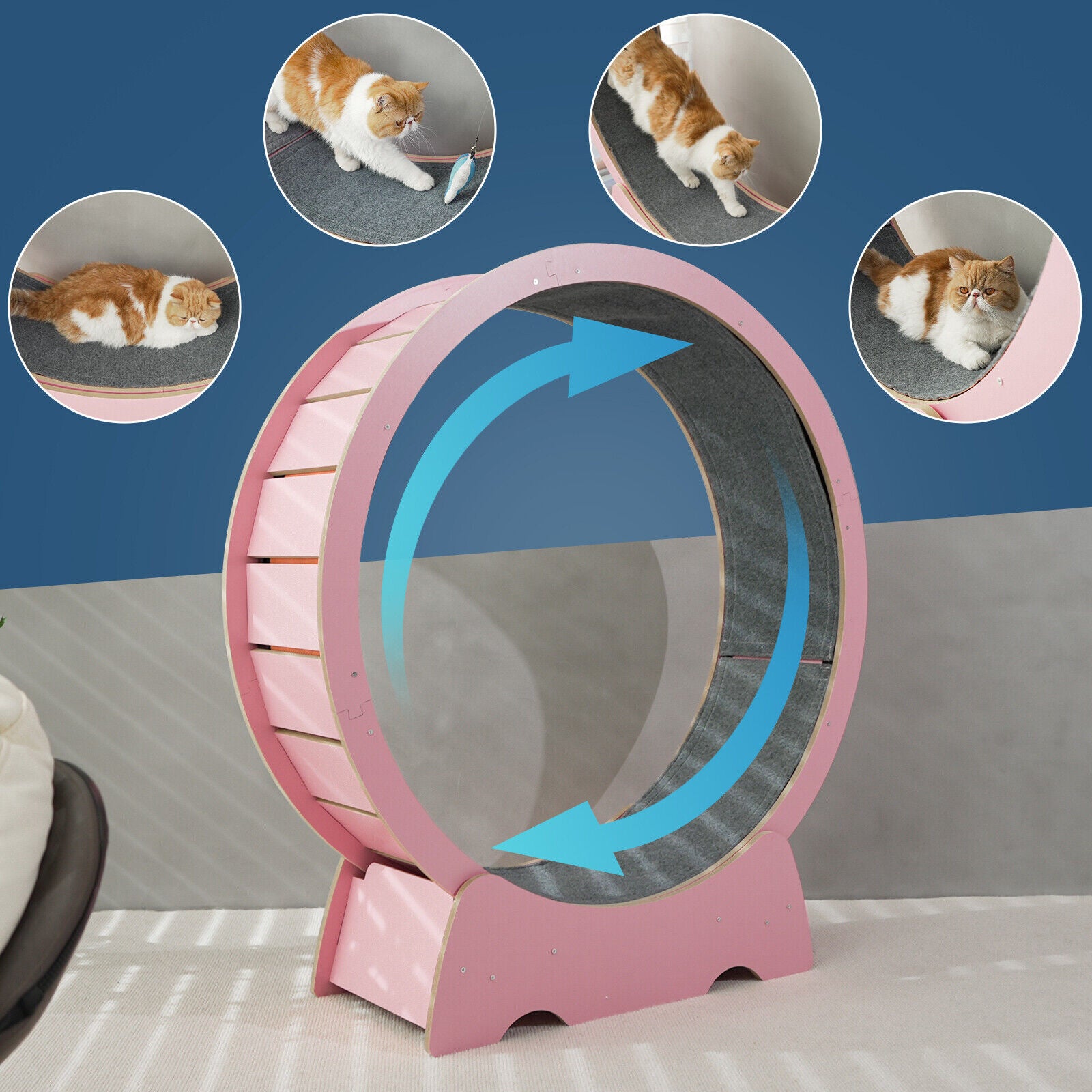 Rypetmia Cat Exercise Wheel Large Wooden/Pvc Cat Treadmill Running Wheel Cat Toy