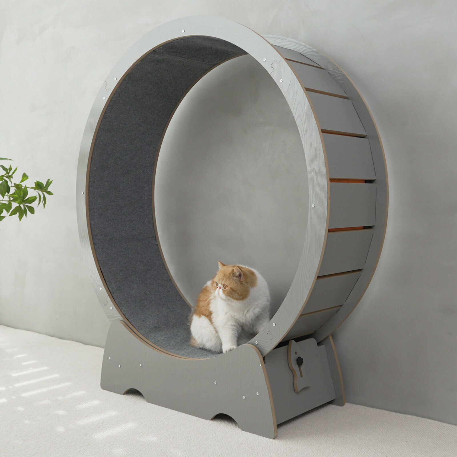 Rypetmia Cat Exercise Wheel Large Wooden/Pvc Cat Treadmill Running Wheel Cat Toy