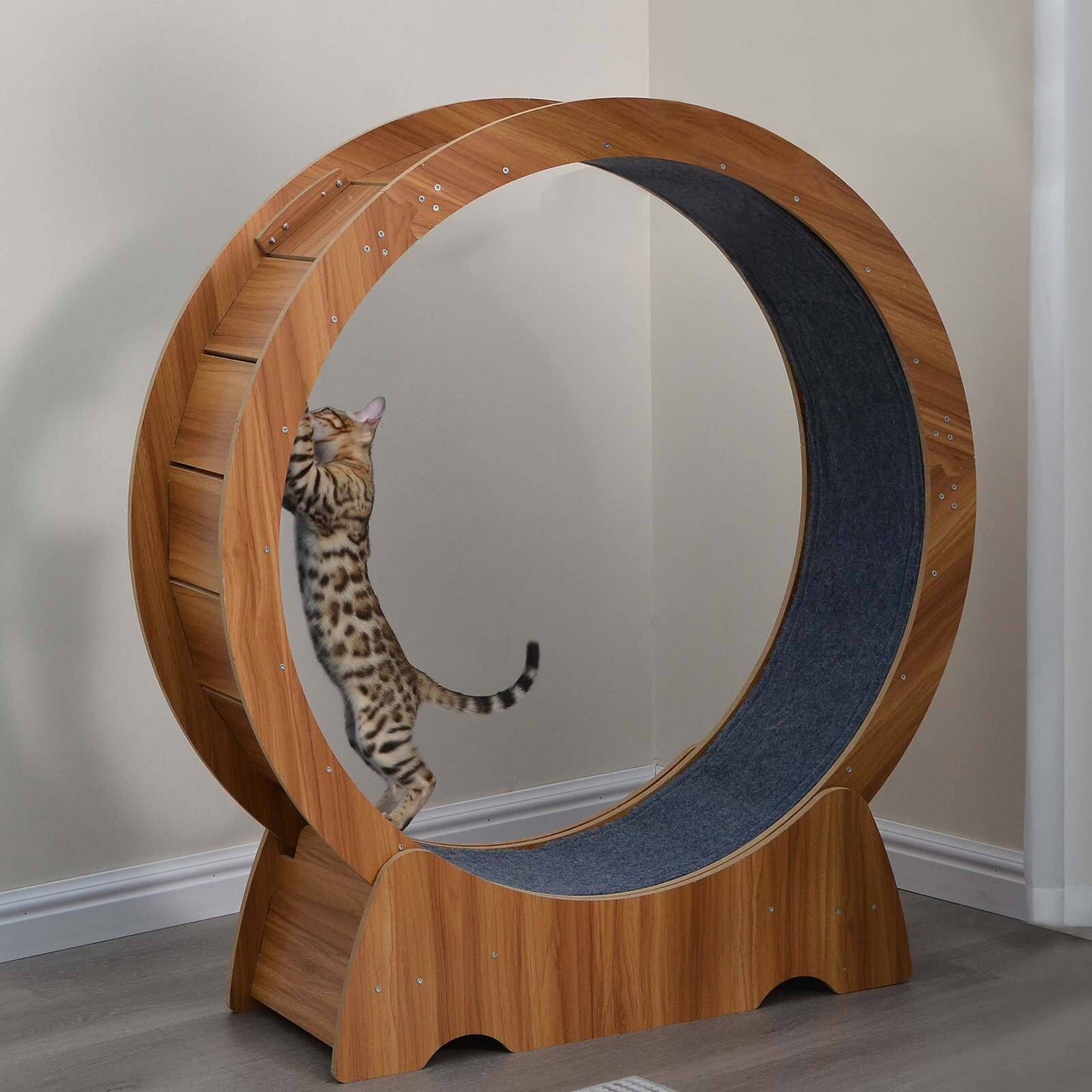 Rypetmia Cat Exercise Wheel Large Wooden/Pvc Cat Treadmill Running Wheel Cat Toy