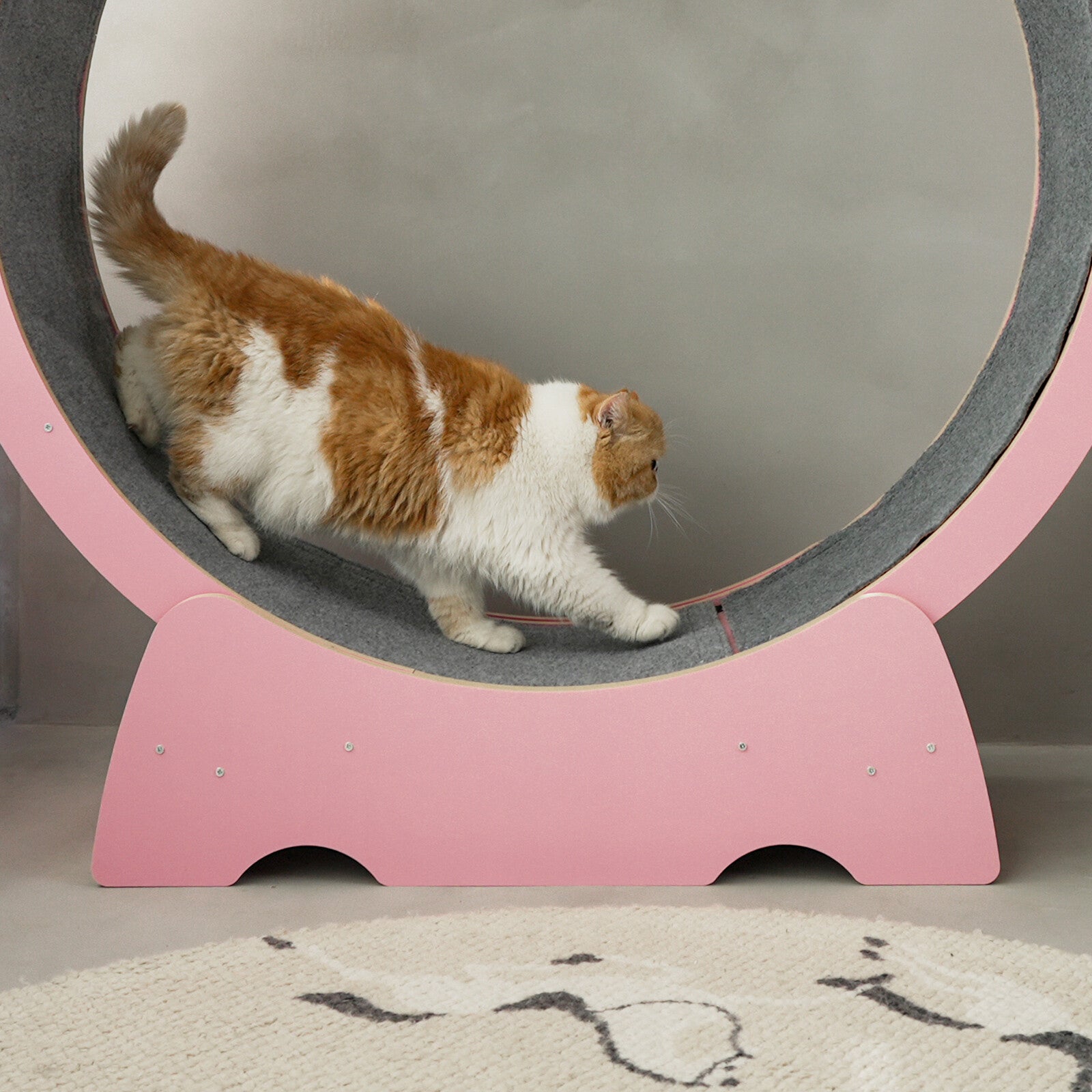 Rypetmia Cat Exercise Wheel Large Wooden/Pvc Cat Treadmill Running Wheel Cat Toy