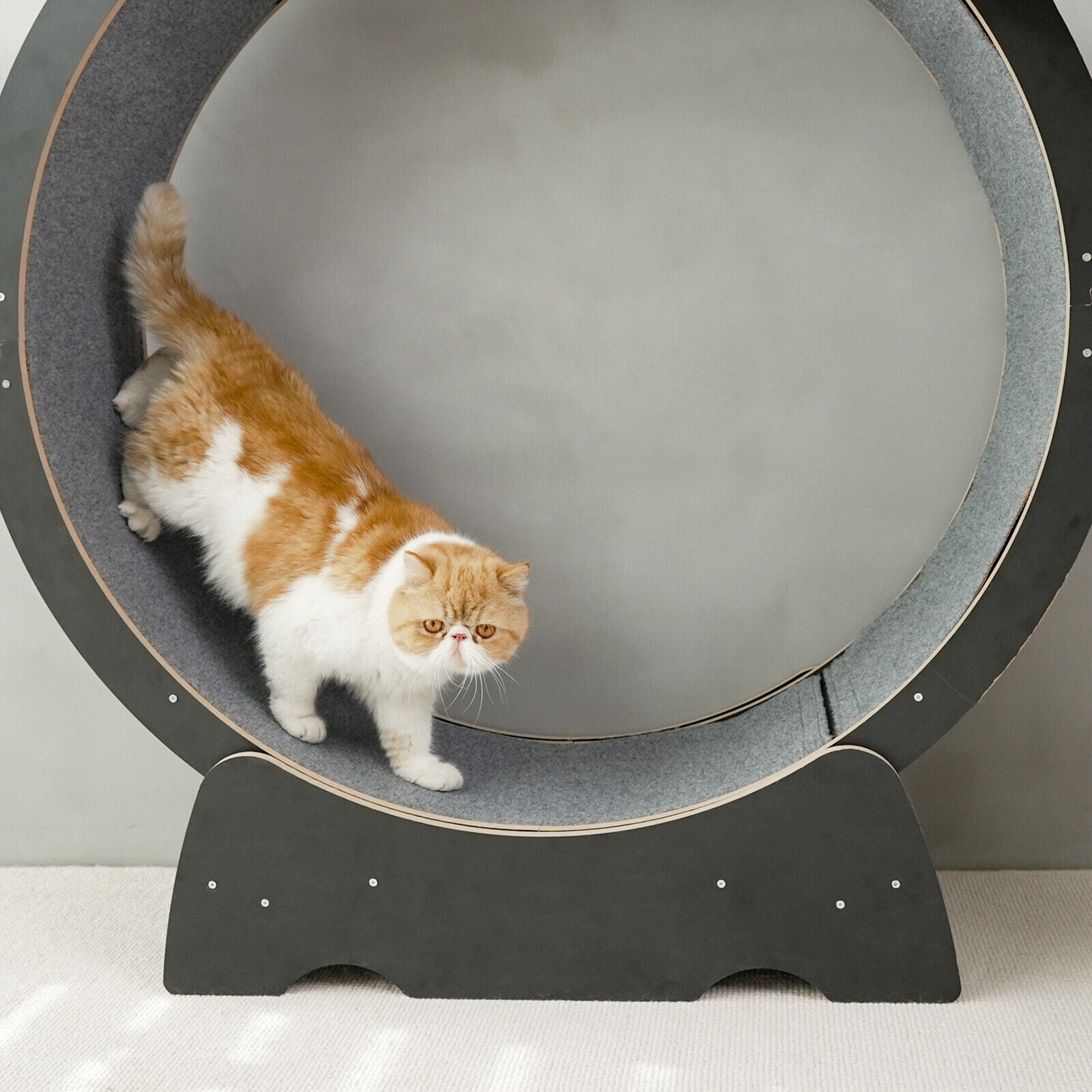Rypetmia Cat Exercise Wheel Large Wooden/Pvc Cat Treadmill Running Wheel Cat Toy