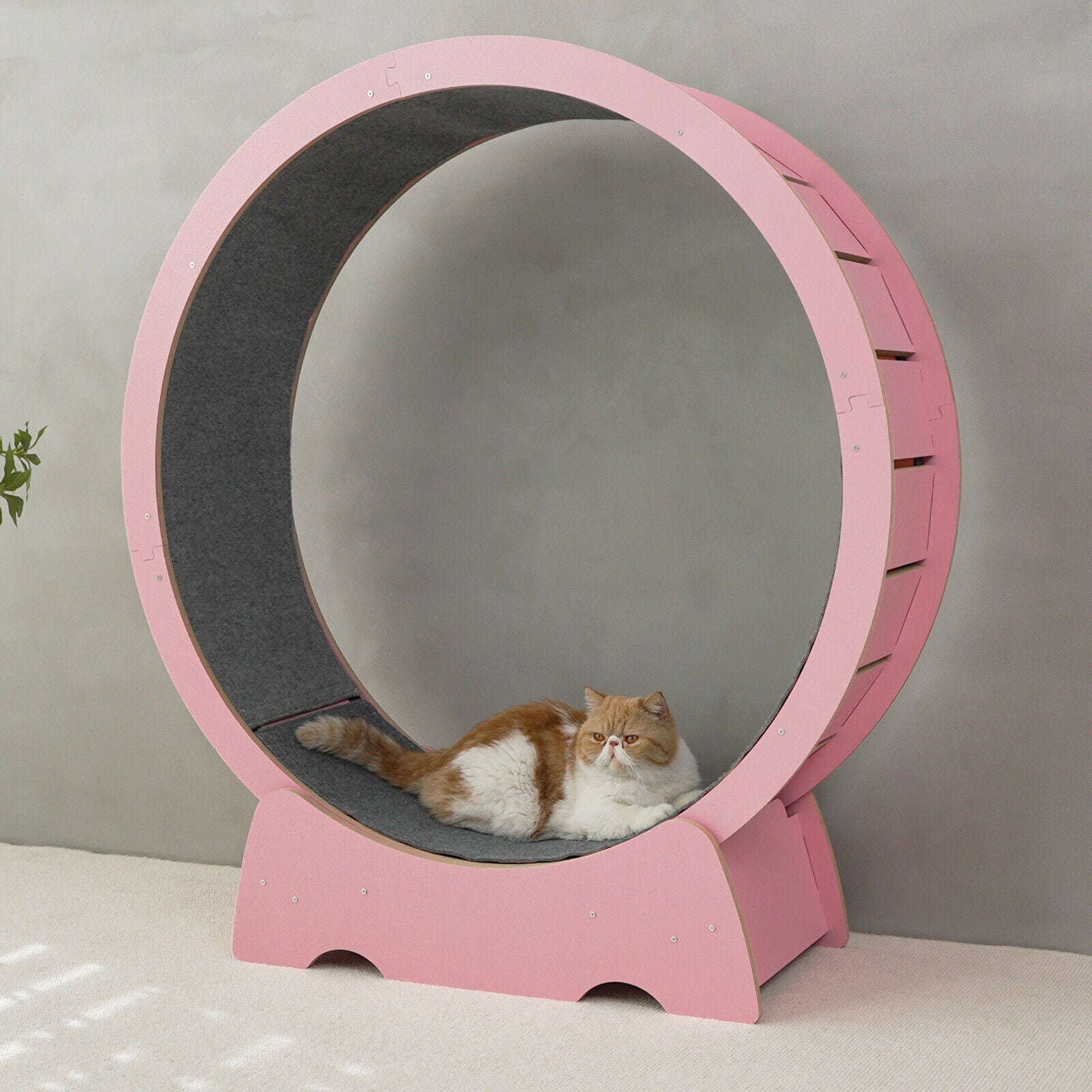Rypetmia Cat Exercise Wheel Large Wooden/Pvc Cat Treadmill Running Wheel Cat Toy