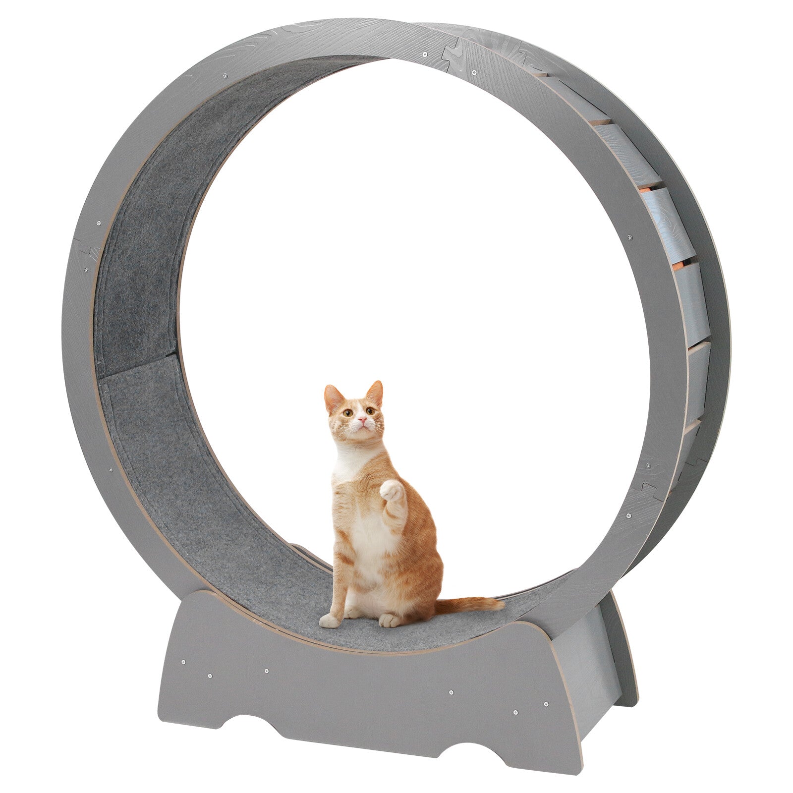 Rypetmia Cat Exercise Wheel Large Wooden/Pvc Cat Treadmill Running Wheel Cat Toy