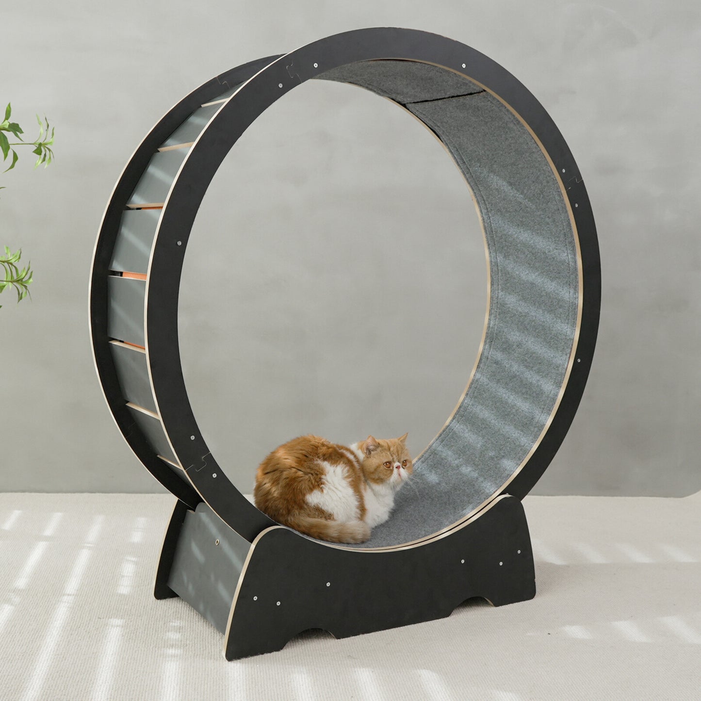 Rypetmia Cat Exercise Wheel Large Wooden/Pvc Cat Treadmill Running Wheel Cat Toy