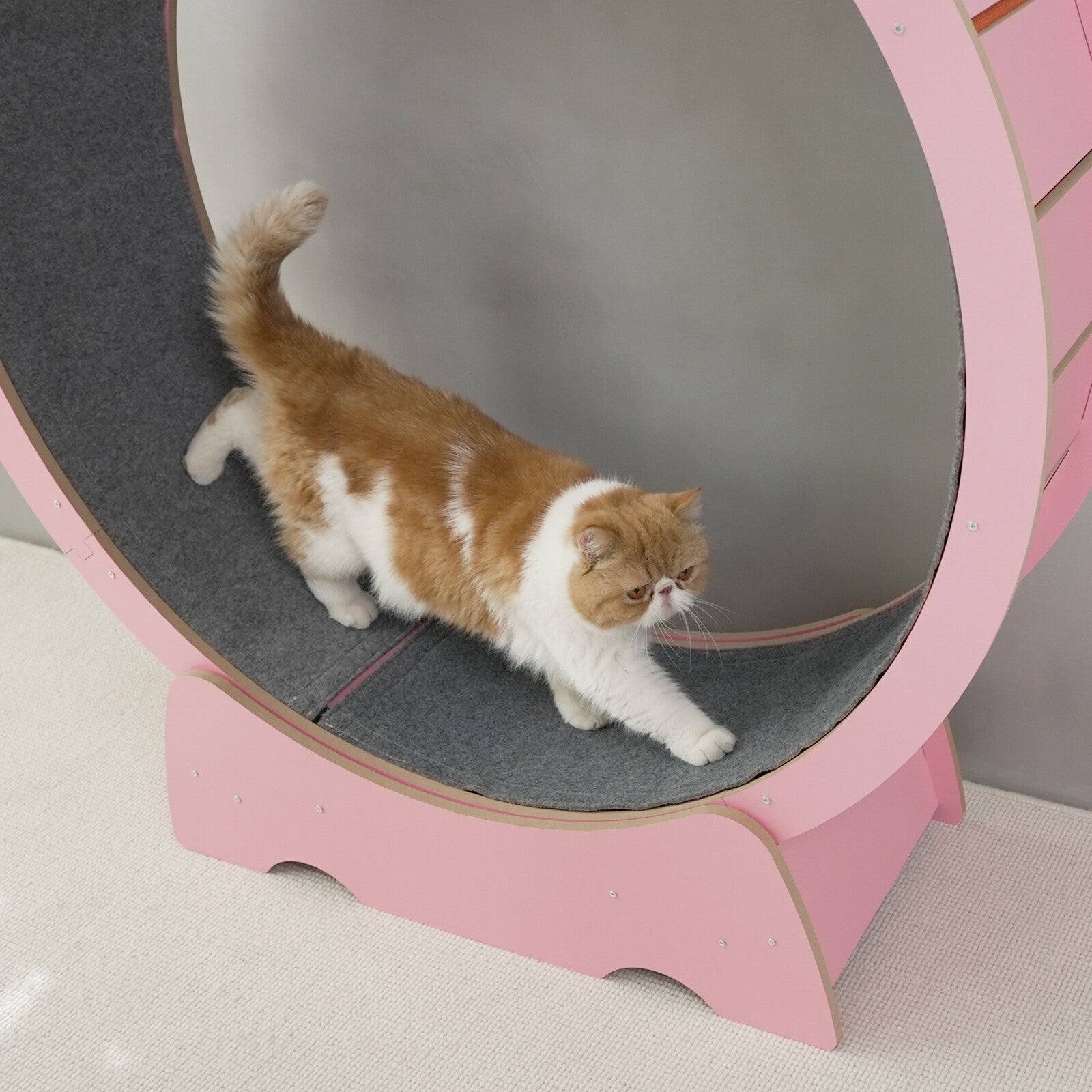 Rypetmia Cat Exercise Wheel Large Wooden/Pvc Cat Treadmill Running Wheel Cat Toy