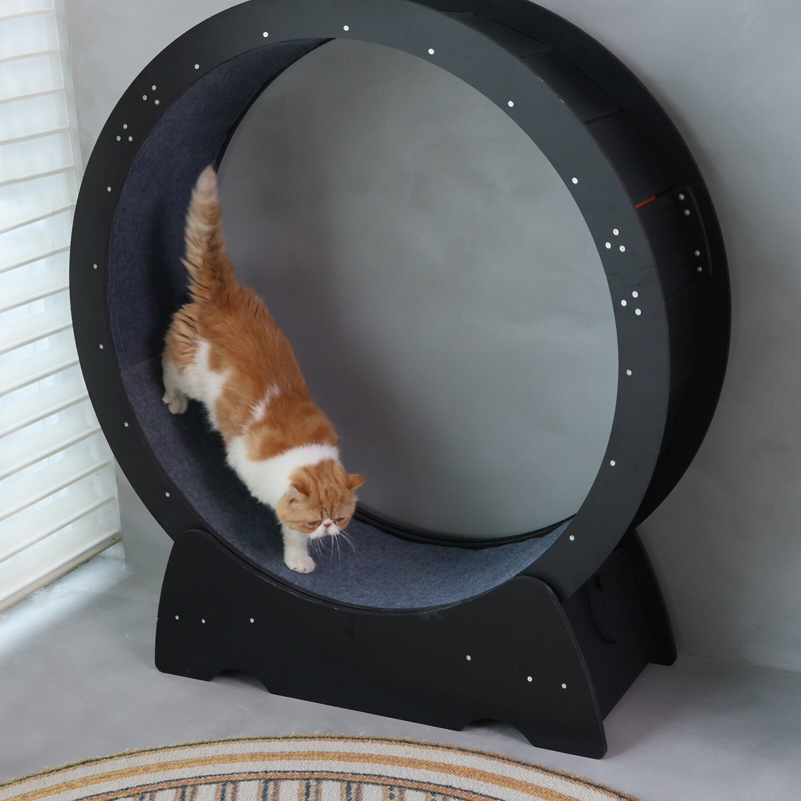 Rypetmia Cat Exercise Wheel Large Wooden/Pvc Cat Treadmill Running Wheel Cat Toy