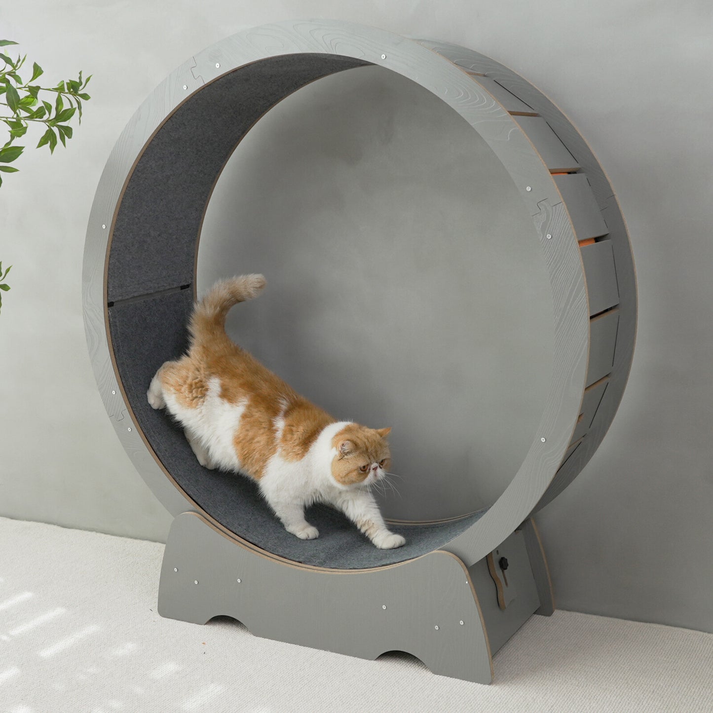 Rypetmia Cat Exercise Wheel Large Wooden/Pvc Cat Treadmill Running Wheel Cat Toy