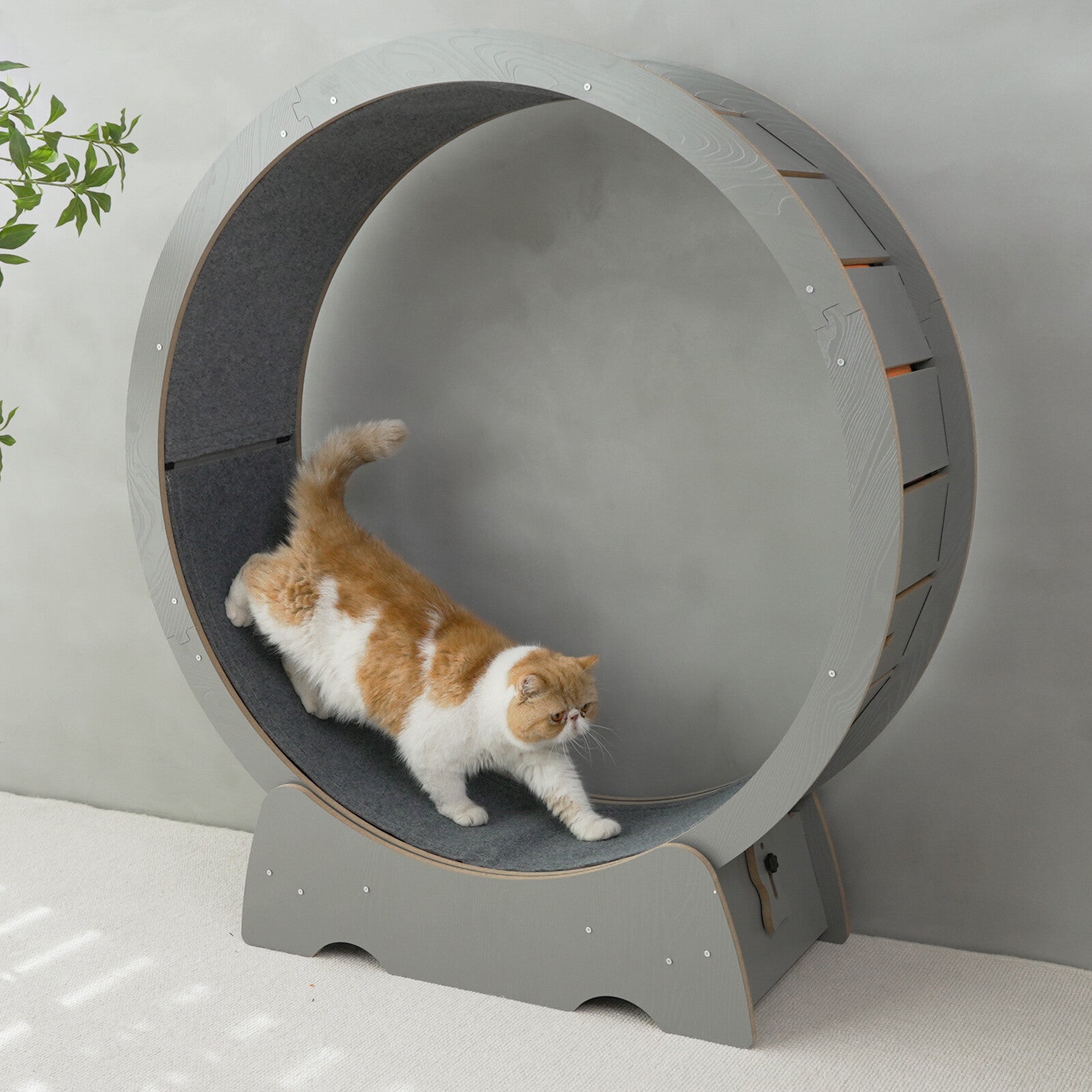 Rypetmia Cat Exercise Wheel Large Wooden/Pvc Cat Treadmill Running Wheel Cat Toy