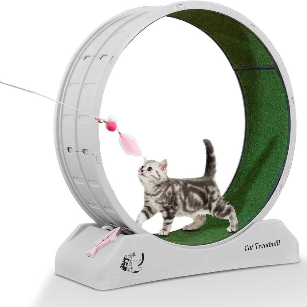Cat Treadmill Runner Training Wheel Pet Exercise Toy Indoor Teaser